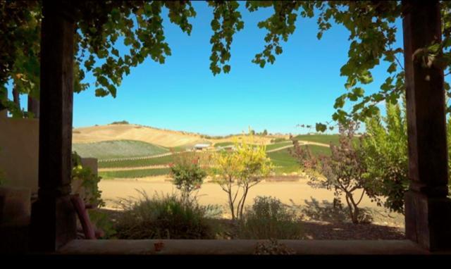פאסו רובלס Sirena Vineyard Resort מראה חיצוני תמונה