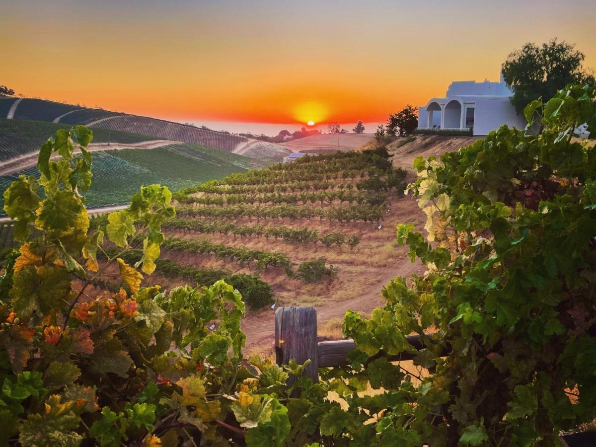 פאסו רובלס Sirena Vineyard Resort מראה חיצוני תמונה